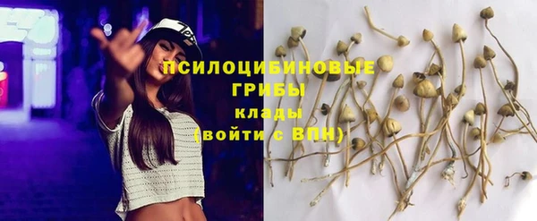 тгк Абдулино