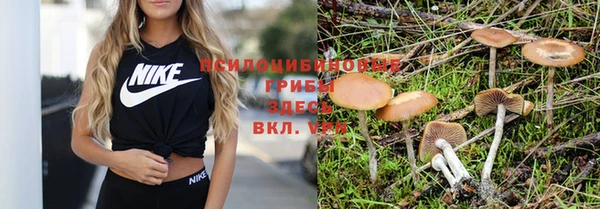 мескалин Абаза