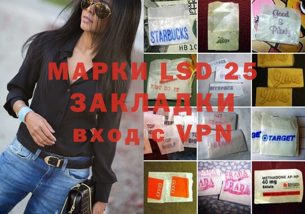 индика Алзамай